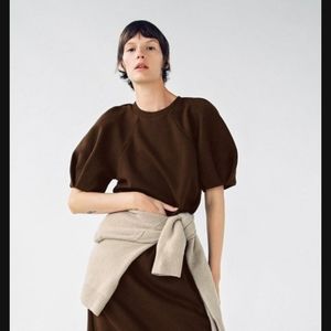 ZARA Brown Plush Midi Dress